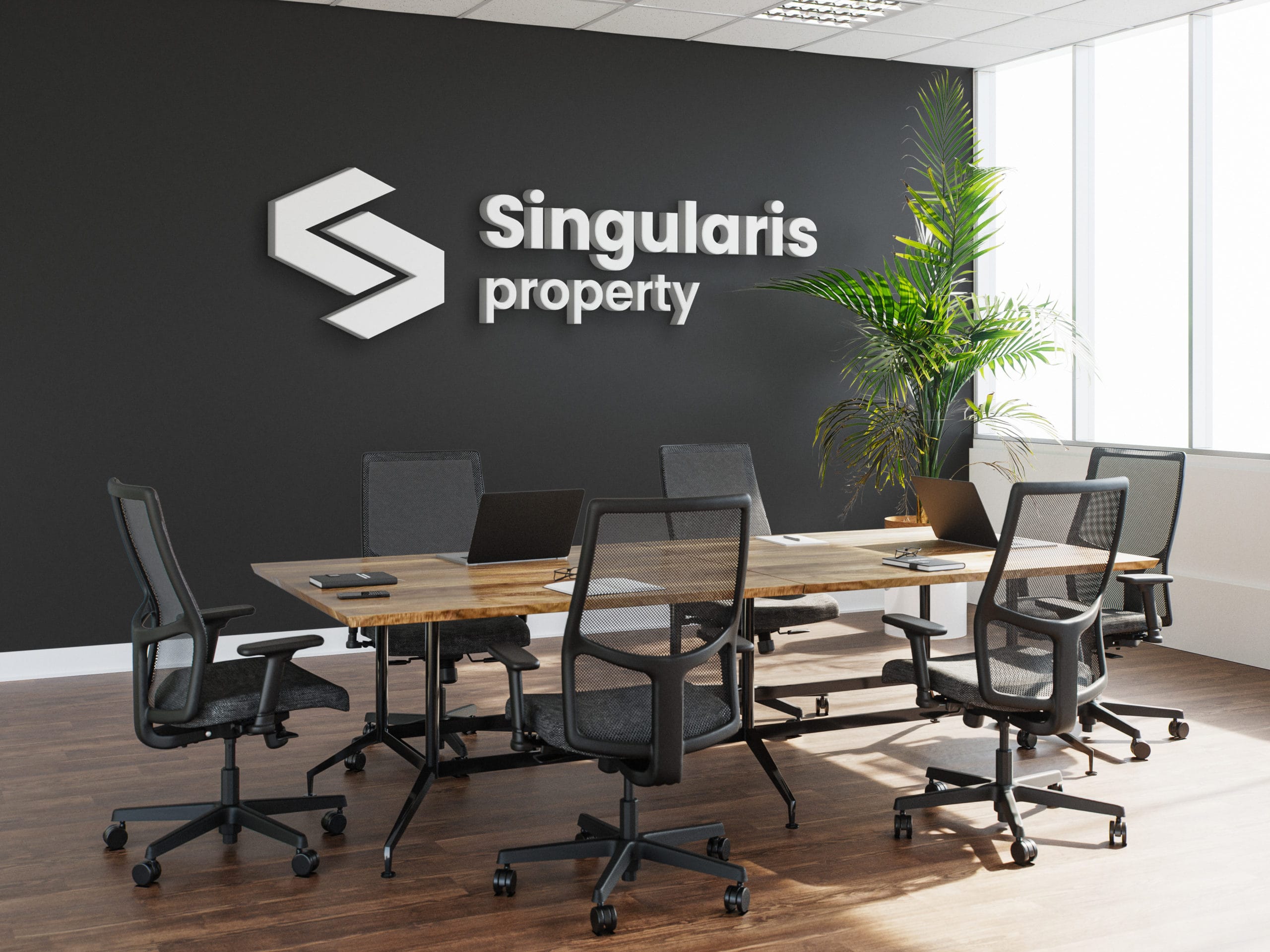 Singularis Mockup